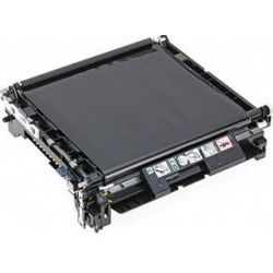 Courroie de Transfert Epson C13S053024 Pour C3800 100000 Pages