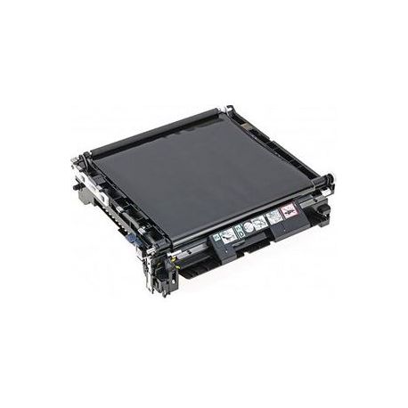 Courroie de transfert Epson C3800 100000 Pages